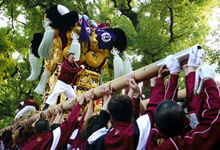 新居浜太鼓祭り