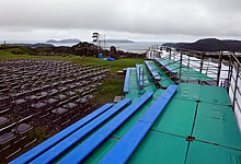 薪能(桟敷席)