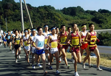 ロードレース
