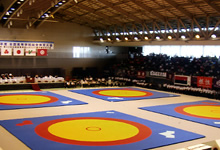 レスリング競技大会