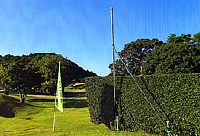 ケーブルポール